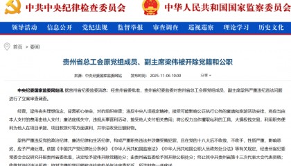 大搞权钱交易！贵州省总工会原副主席梁伟被“双开”