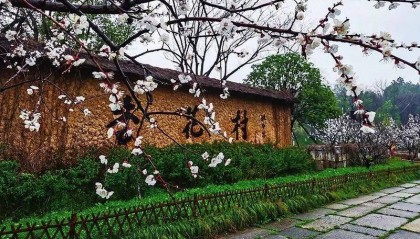 恭祝中酒杏和酒业（山西）有限公司国企Pre-B轮融资2亿人名币