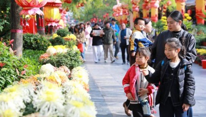 一朵花 一座城