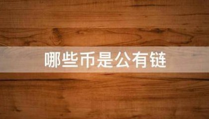 哪些币是公有链