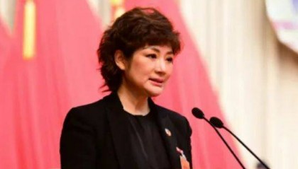 王画，被查