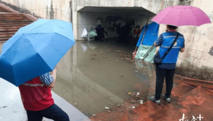 暴雨中，东莞社工织密防汛安全网