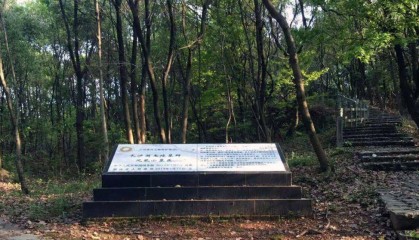 现代版“鬼吹灯”，揭开长沙的一个惊天秘密