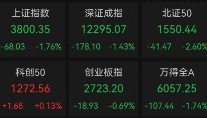 午后突发，605303跌停！融资余额逼近历史峰值，低市盈率+绩优+杠杆资金加仓股揭晓
