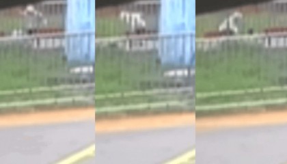“44秒31刀”，台湾残忍情杀案曝光：多次寻求复合被拒，17岁少年网购长刀当众杀害21岁前女友，已被逮捕