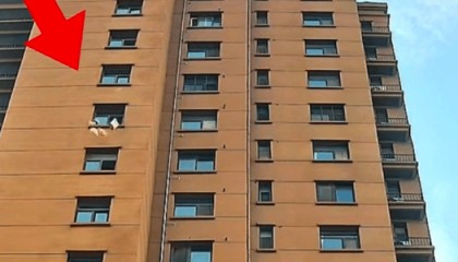 江苏徐州一小区有人频繁高空抛物，警方通过被扔快递盒上信息寻找肇事业主，记者联系物业公司，回应来了