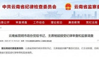 曾任昆明市副市长的她，主动投案
