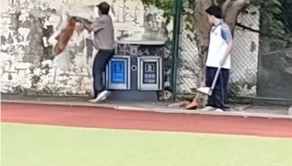 福建一公办职中保安被指当学生面，从3米高墙扔出流浪狗！福清教育局：将核实情况