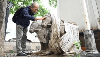 北京朝阳某小区发现石马 文物专家现场鉴定