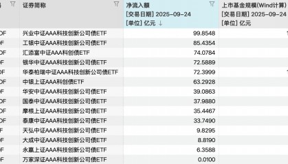 总规模突破千亿元！第二批科创债ETF上市首日“吸金”超630亿元