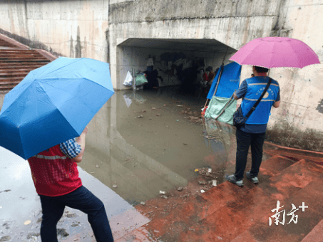 暴雨中，东莞社工织密防汛安全网