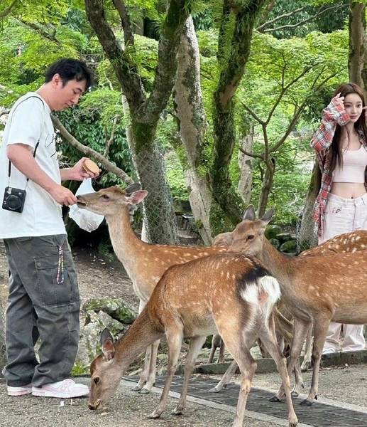 王思聪带新妹子在日本吃饭，正宫懒懒在直播中否认分手，网友懵了