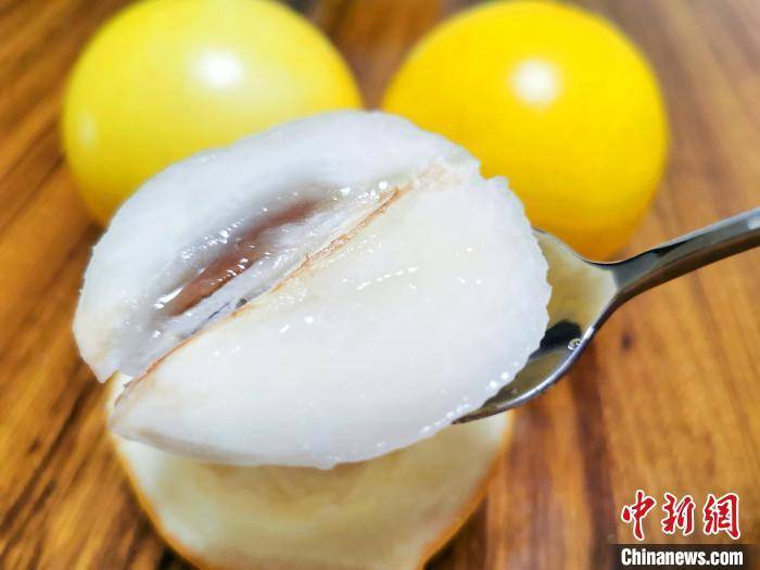 广东台山黄晶果上市 “果中燕窝”主销高端商超