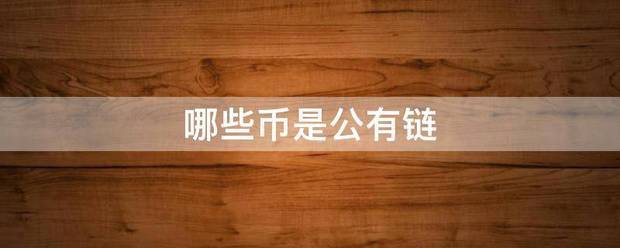 哪些币是公有链