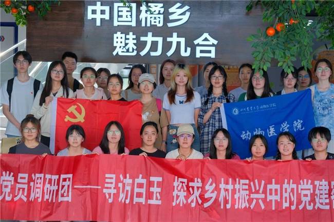 四川学子寻访联丰，探寻乡村振兴中的党建密钥