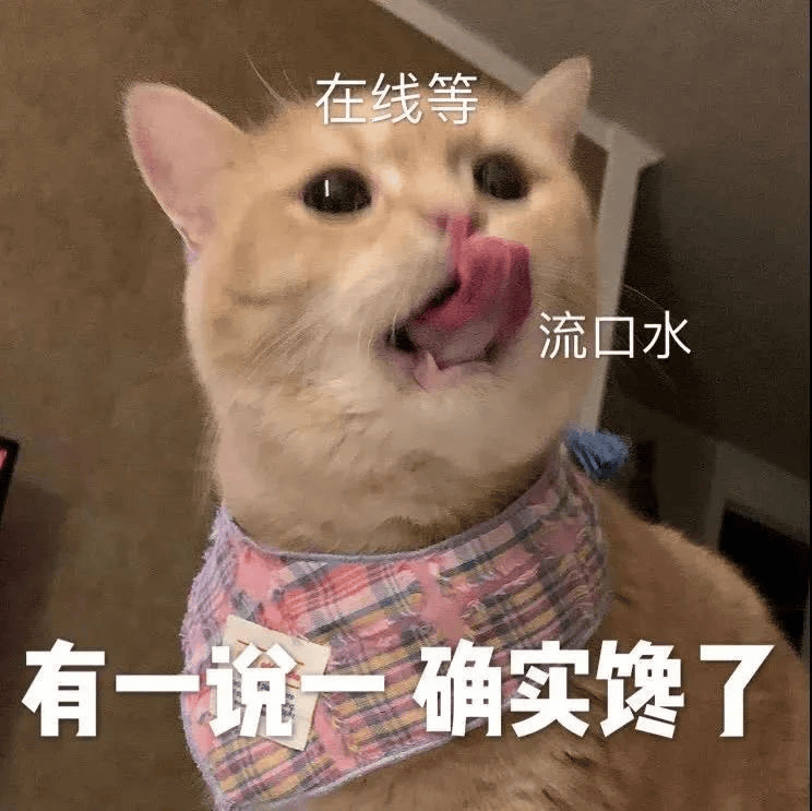 邵阳这家店的卤菜中含有“罂粟壳”被警方查获