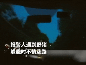 男子山中偶遇野猪被困获救后送警方“666”锦旗