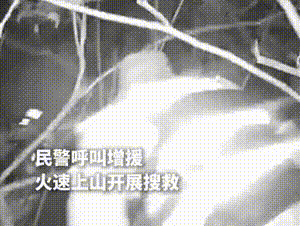 男子山中偶遇野猪被困获救后送警方“666”锦旗