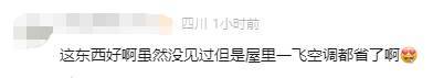 有人家中出现“巨型蟑螂”？网友：房子给它了