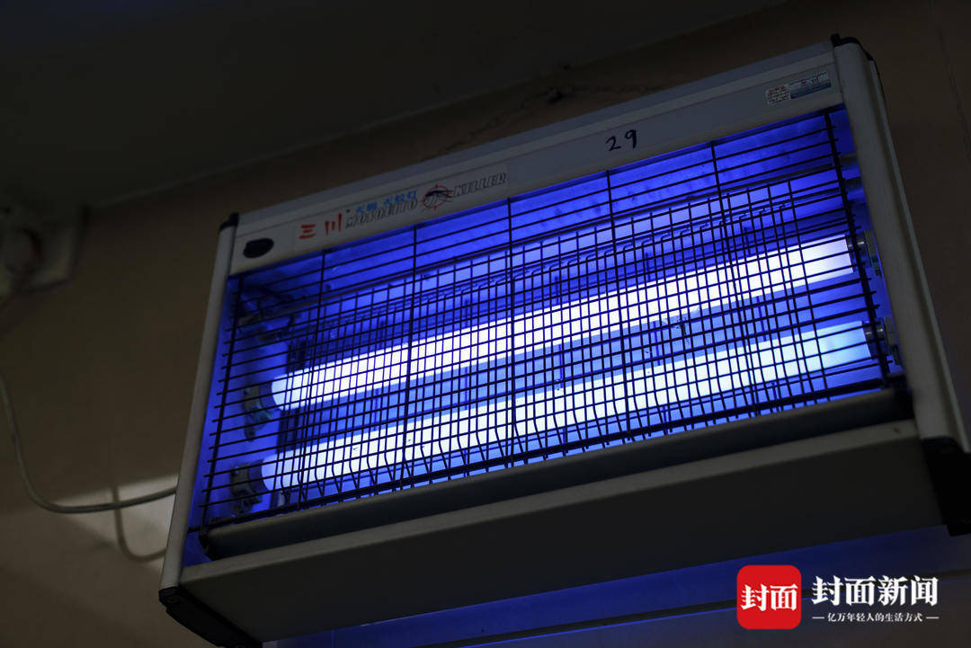 探访佛山基孔肯雅热定点医院：病床上加装了蚊帐，已有近300人治愈出院｜封面头条