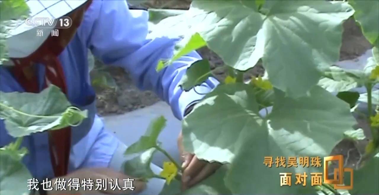 面对面丨中国人的吃瓜自由要感谢她!吴明珠说她的一生就是结几个好瓜献给人民