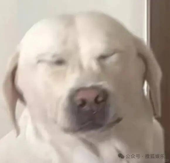 离婚三年又被拍到亲密逛超市，他俩这是纯带娃还是真复合了？