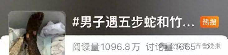 安徽宣城一男子走路玩手机，一脚踩中打架的竹叶青和五步蛇，被俩毒蛇咬3口！医院：暂无生命危险，正在治疗