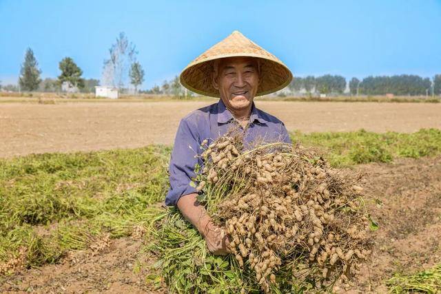 “花生上树”闹剧：AI翻车背后，我们都在弄丢常识？
