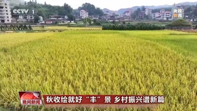 金秋时节好“丰”景 田间地头抢收忙