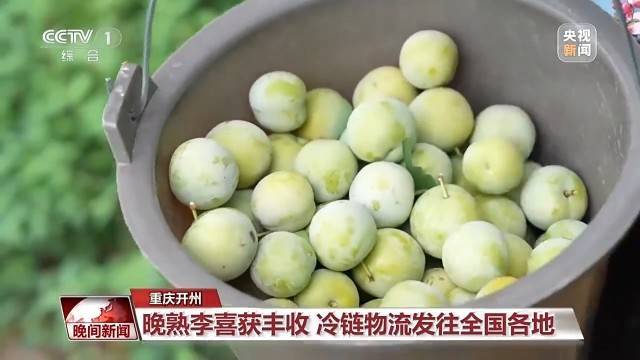 金秋时节好“丰”景 田间地头抢收忙