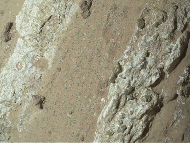 NASA毅力号探测器惊人发现：火星或许曾存在远古生命