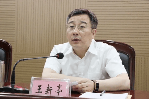 安阳市副市长王新亭，主动投案！