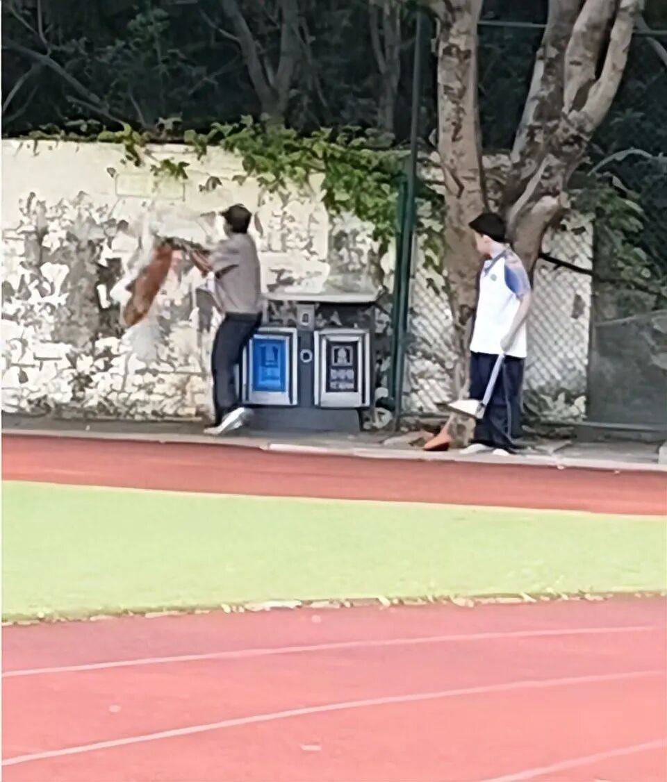 福建一公办职中保安被指当学生面，从3米高墙扔出流浪狗！福清教育局：将核实情况