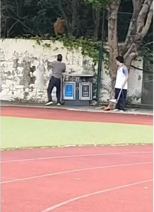福建一公办职中保安被指当学生面，从3米高墙扔出流浪狗！福清教育局：将核实情况