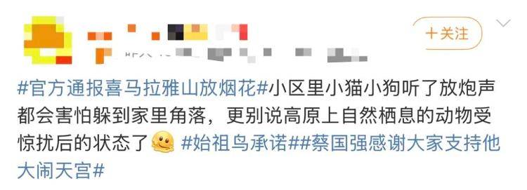 “感谢大家支持我大闹天宫……”蔡国强烟花秀现场感言视频披露，又遭质疑！