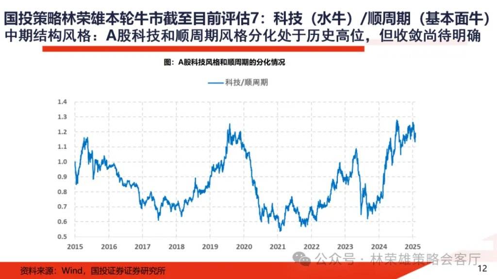 A股大牛市：一份全面的体检报告