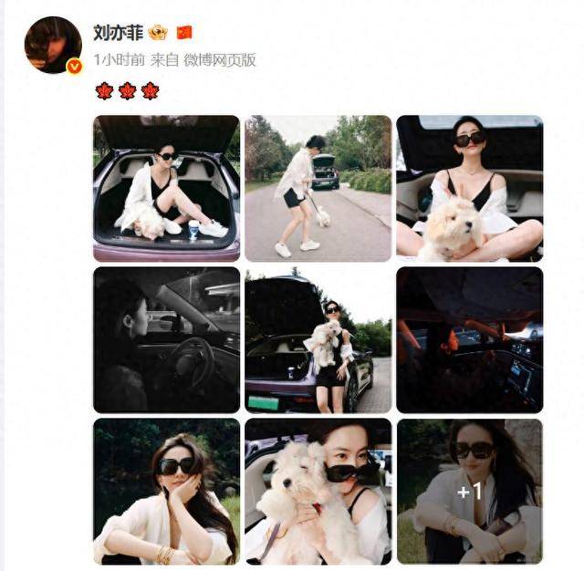 刘亦菲晒与新狗狗合照，穿白衬衫戴墨镜清爽出游