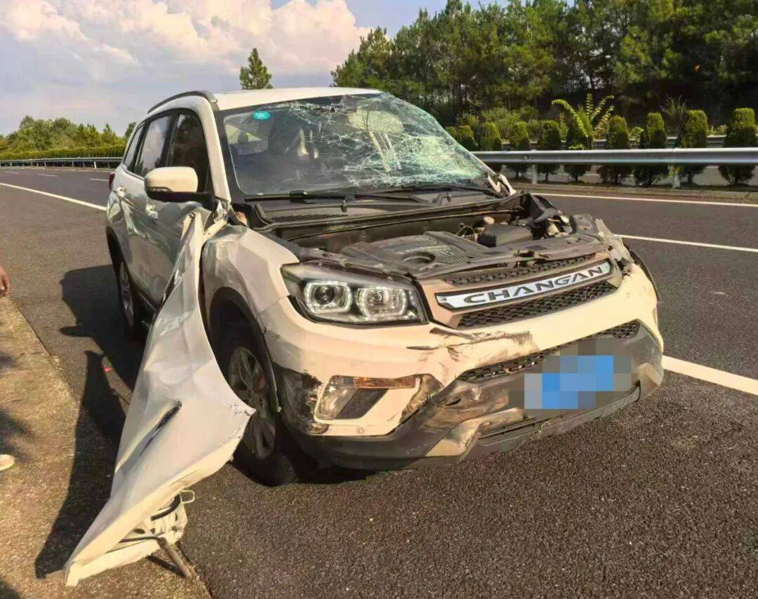 “我撒谎天打雷劈！”男子高速突然强行变道致翻车，反诬赖对方