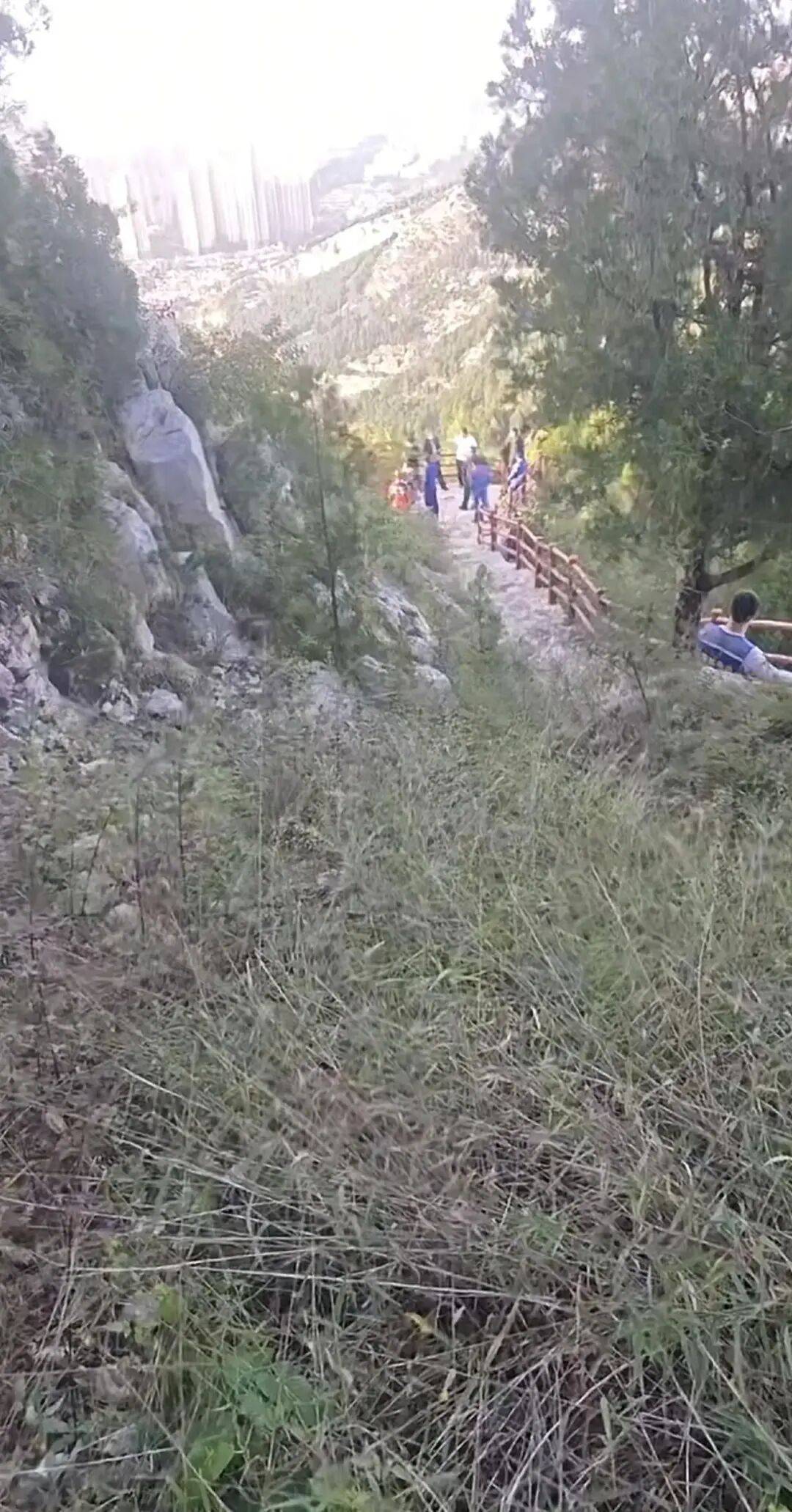 刚刚证实：苏某某已身亡，年仅29岁！遗体在离家2公里处……