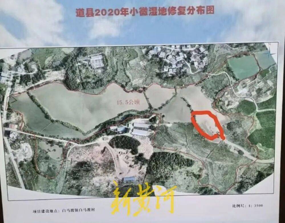 65岁农妇荒塘养鱼被判“非法占用农地”：羁押10月后免刑，仍喊“我没罪”