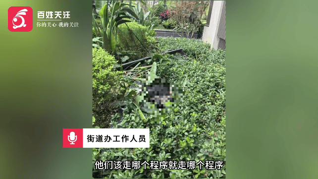 一门窗安装工人不慎坠楼身亡！知情人：从18楼连人带窗坠落，作业时没系安全绳