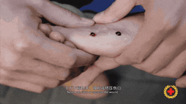 女子半夜上厕所,马桶里突然窜出一条蛇!