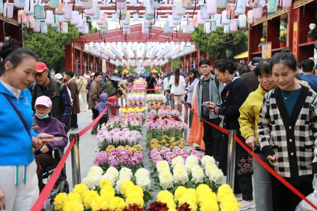 一朵花 一座城