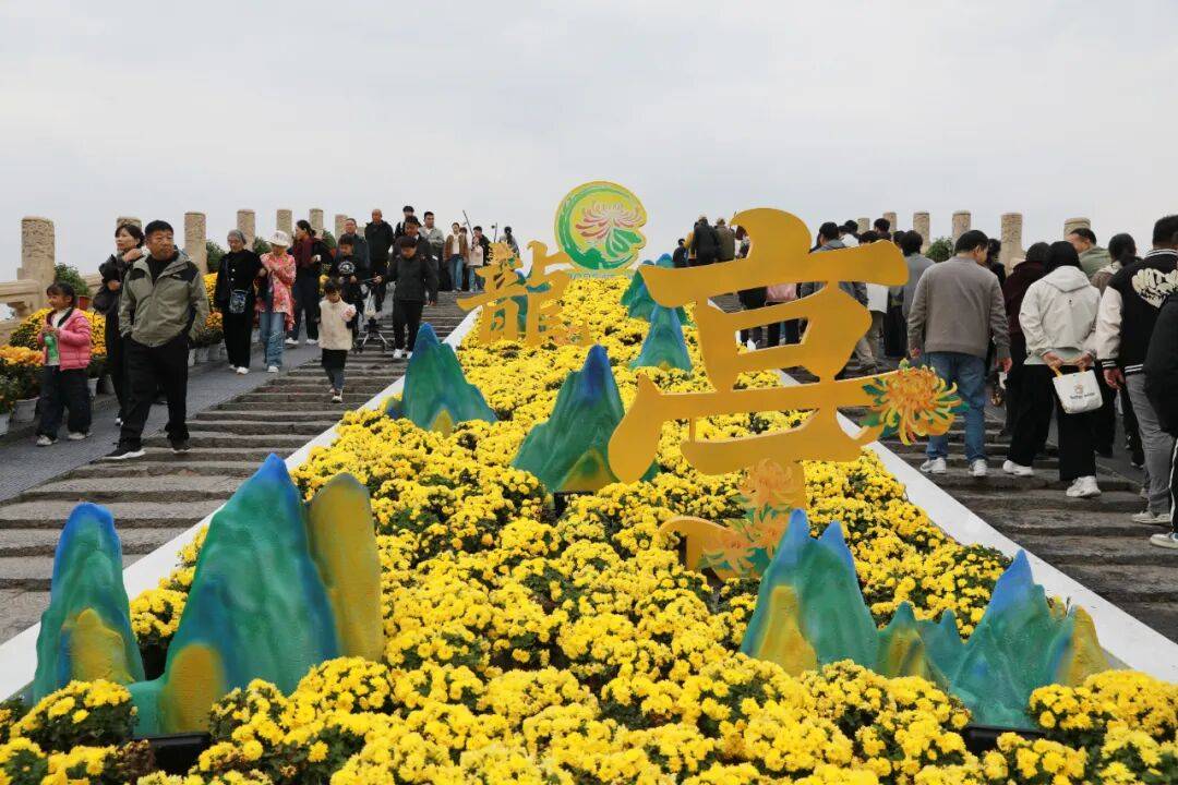 一朵花 一座城
