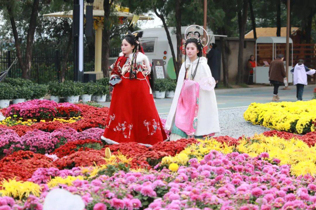 一朵花 一座城