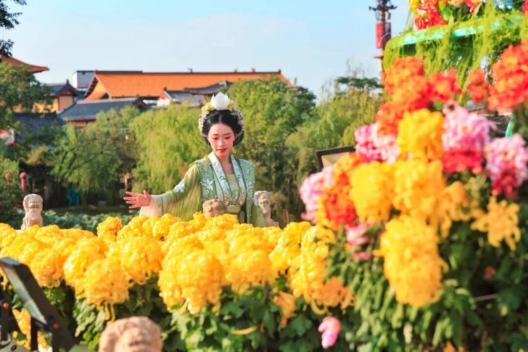一朵花 一座城