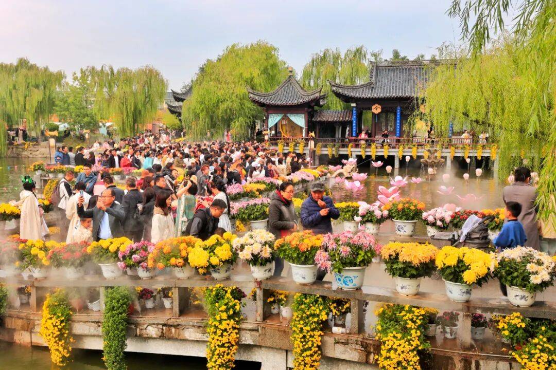 一朵花 一座城