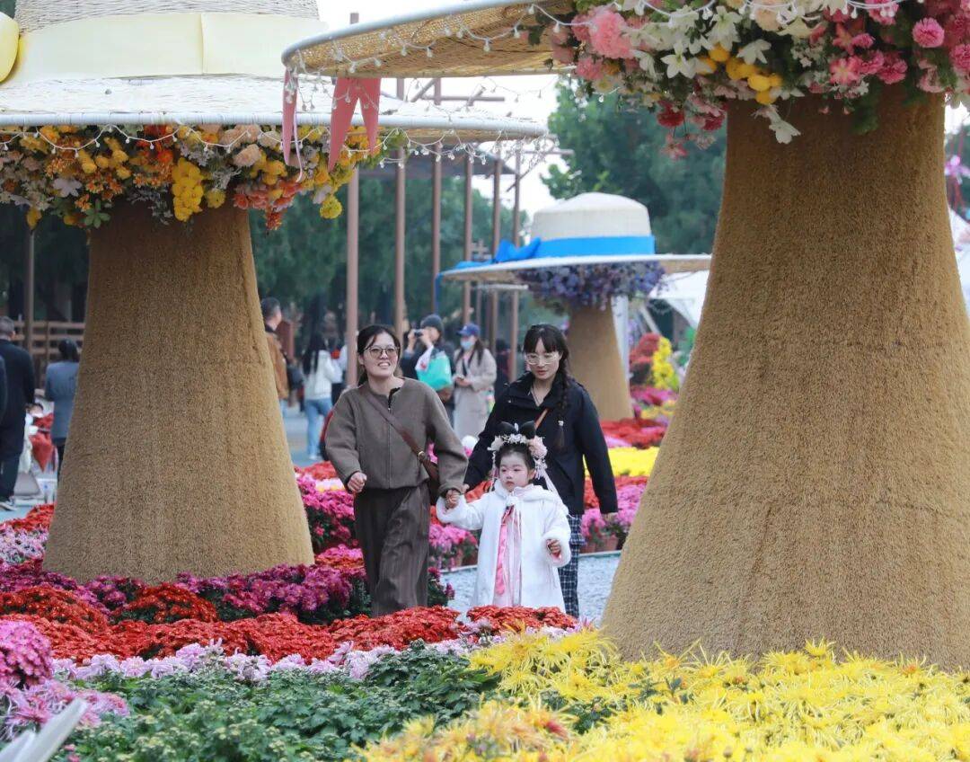一朵花 一座城