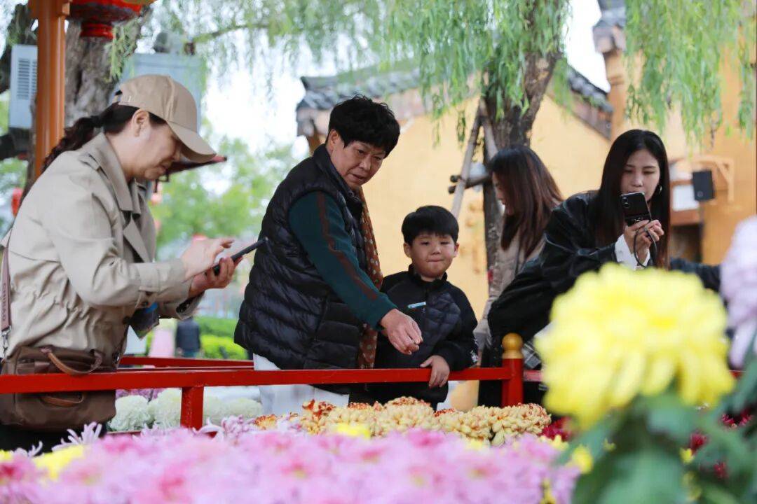 一朵花 一座城