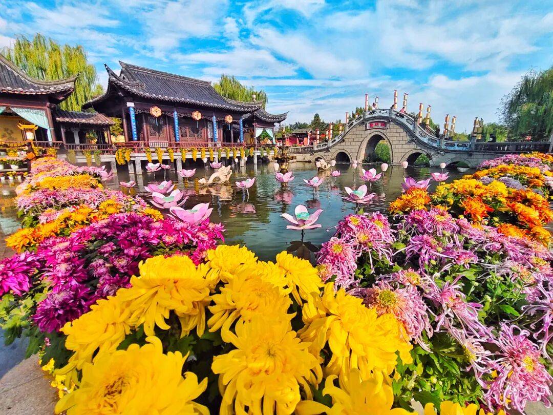 一朵花 一座城